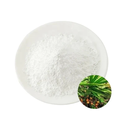 Fűrészpalmetto kivonat por